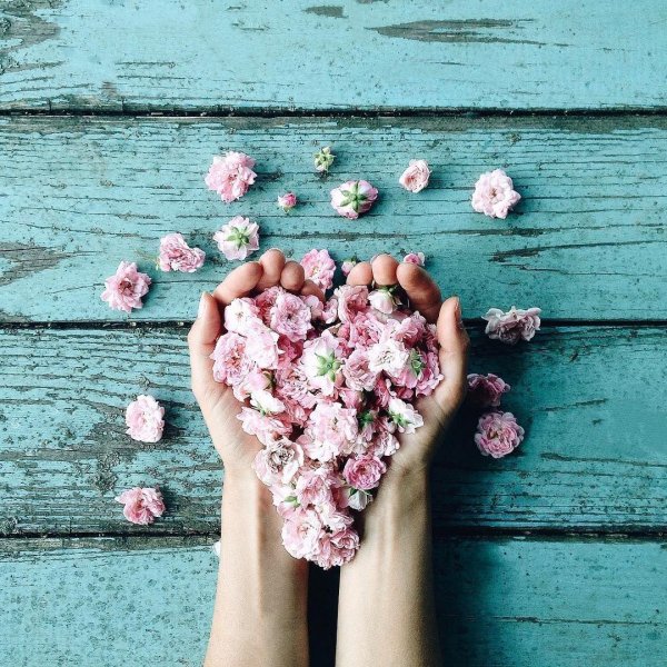 сердце из цветов в руках