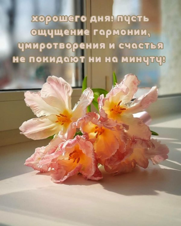 тепла и радости