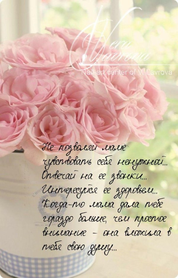 нежный цветок