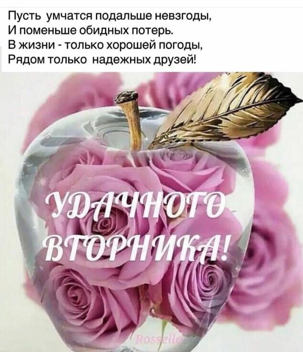 замечательного вторника