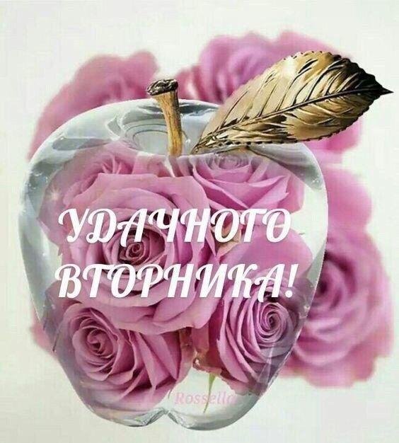 замечательного вторника