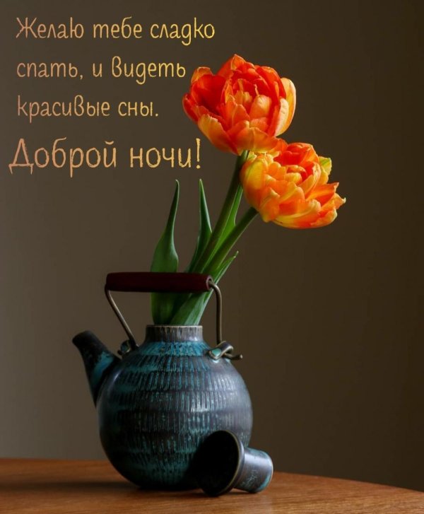 добрый вечер красивые необычные