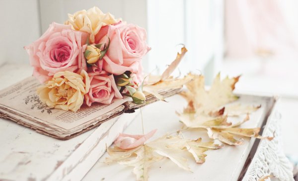 роза на книге