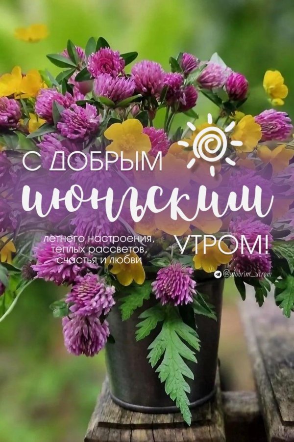 доброго утра летнего