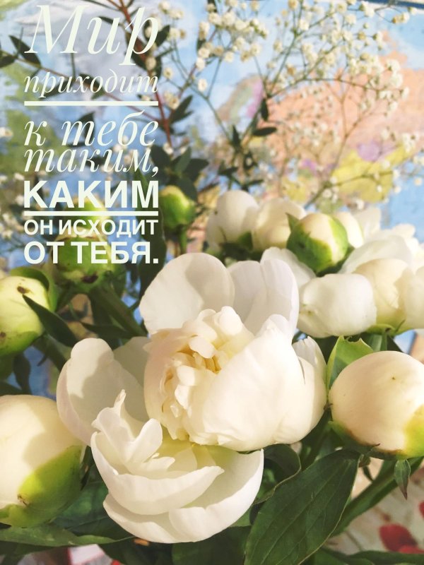 С цветами для вдохновения с надписями