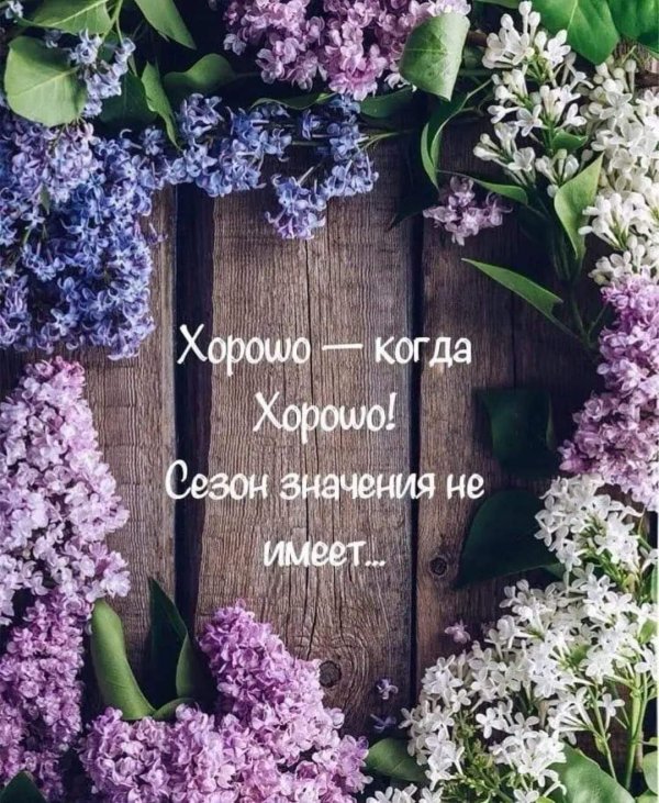 сирень цветки