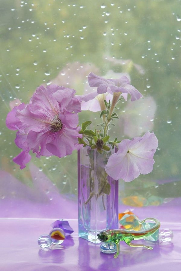 натюрморт цветочный