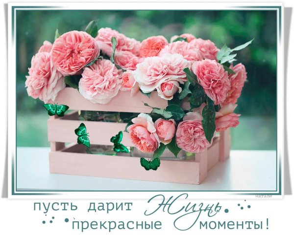 поздравление с днем рождения нежное