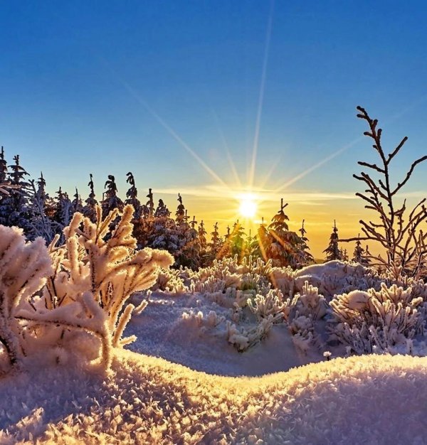 зимние пейзаж