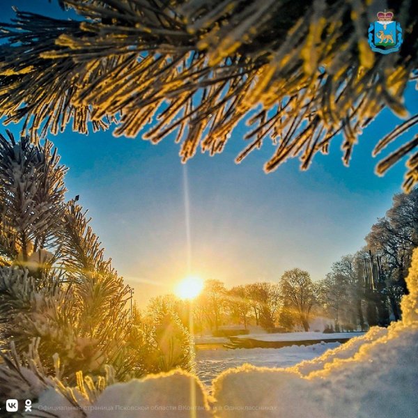 солнечного зимнего дня