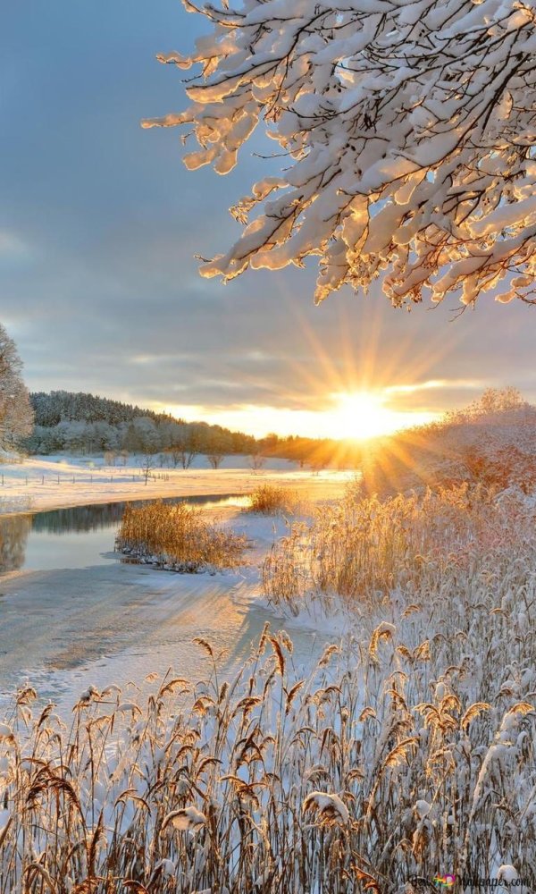 зимнее солнцестояние