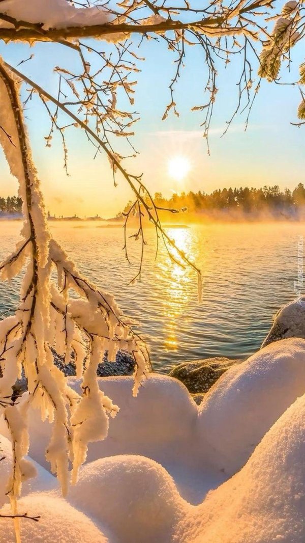 карелия зимой