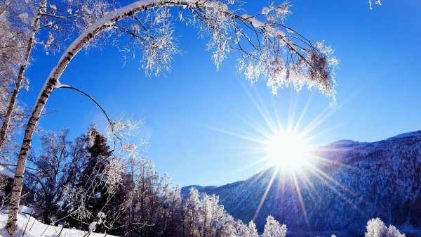 природа зимняя