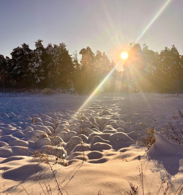 солнце снег