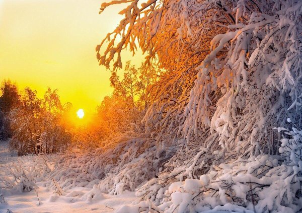 зимние пейзаж