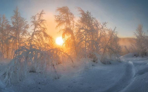 андрей грачев фотографпейзажист