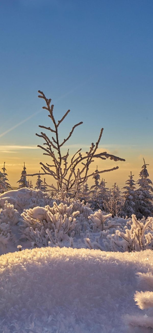 зимние пейзаж