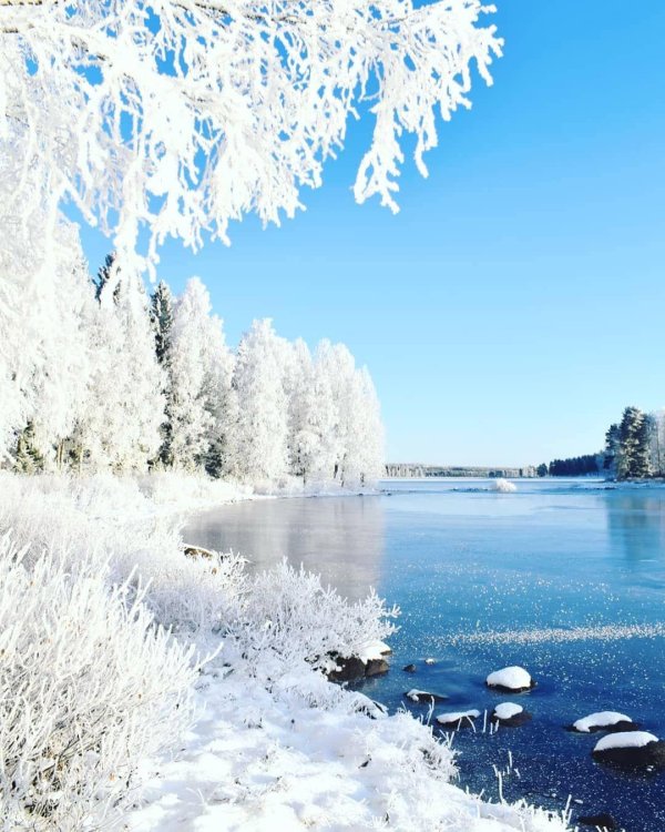 природа зимняя