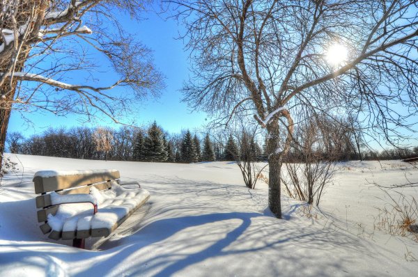 терлецкий парк зимой