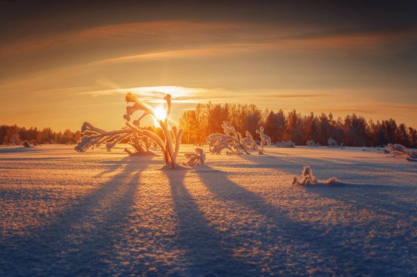 зимний закат