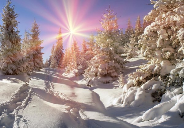 зимние пейзаж