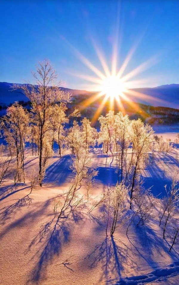 зимний рассвет