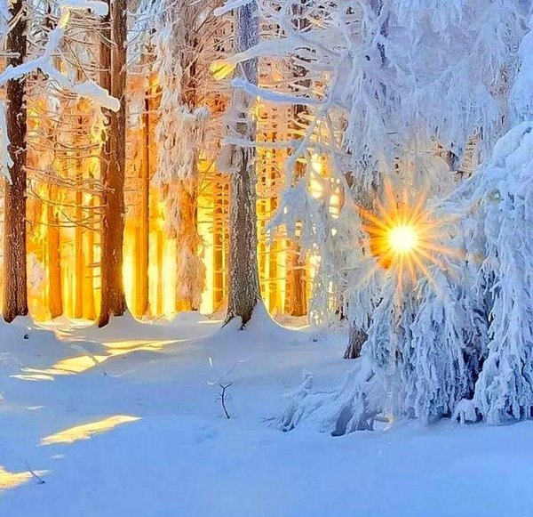 солнечного зимнего утра