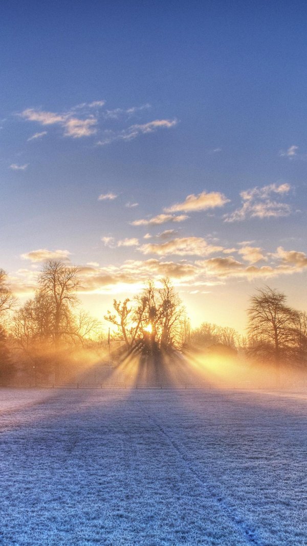 зимнее солнечное утро