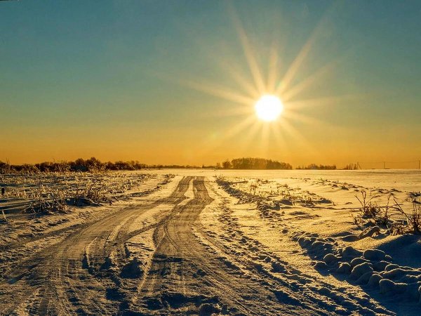 зимнее поле