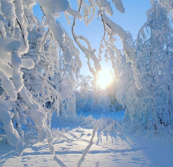 природа зимняя