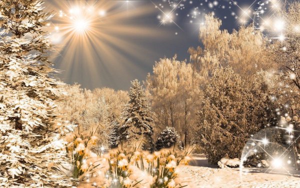 Зимний солнечный день