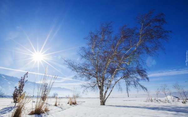 морозный солнечный день