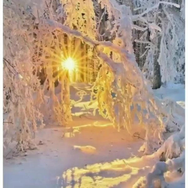 морозный солнечный день