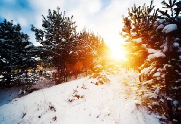 праздник зимнего солнцестояния