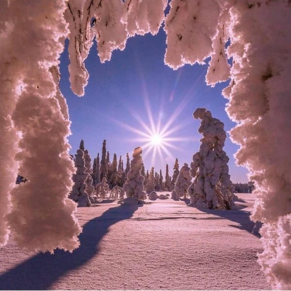 зимние пейзаж