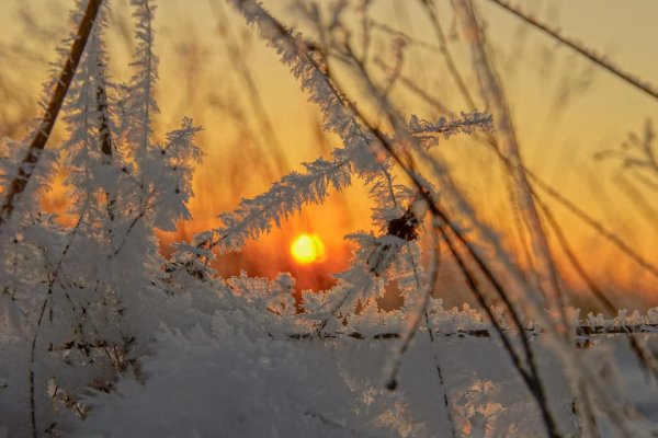 солнышко зимой