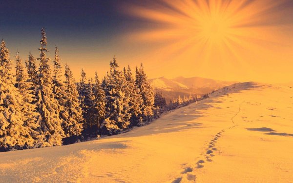 солнце зимой картина