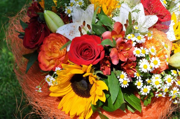 цветы в августе для букета