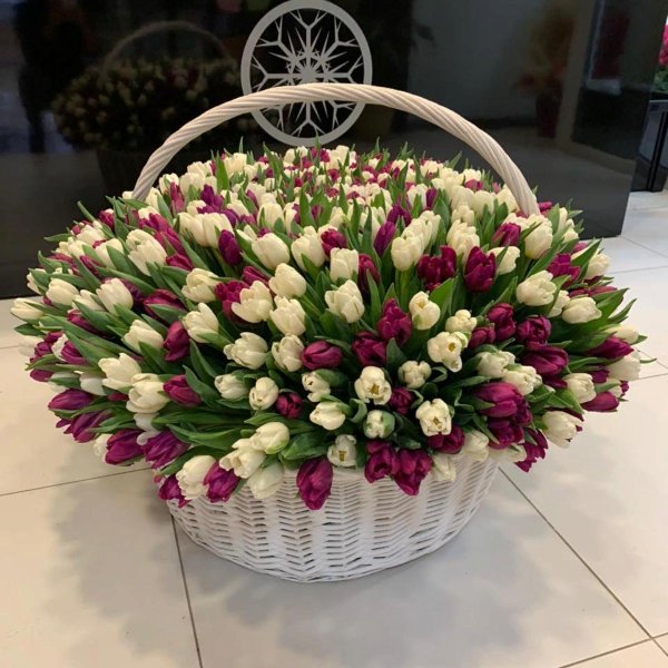 тюльпаны в корзинке