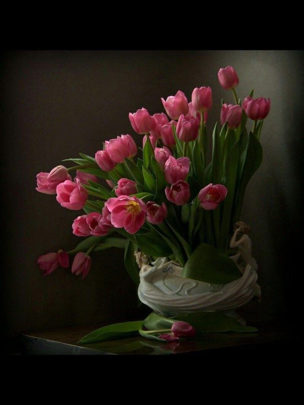 красивые тюльпаны