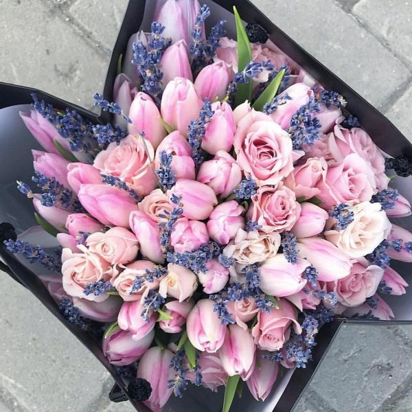 лавандовые тюльпаны