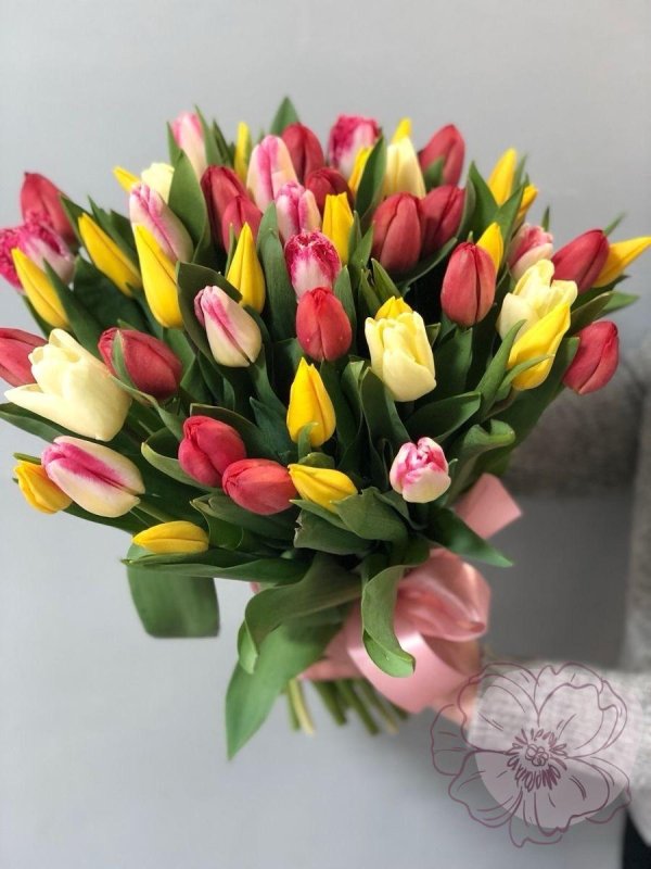 51 тюльпан микс