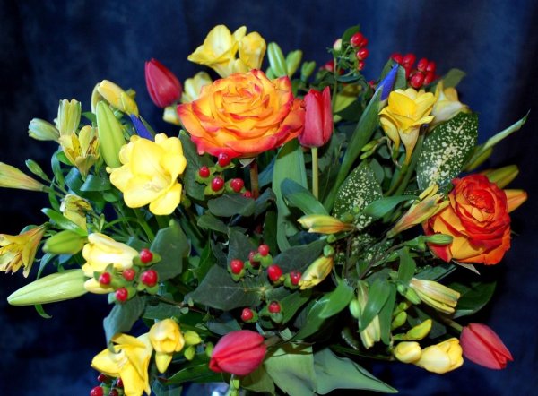 розы тюльпаны