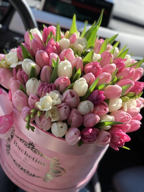 тюльпаны лакшери