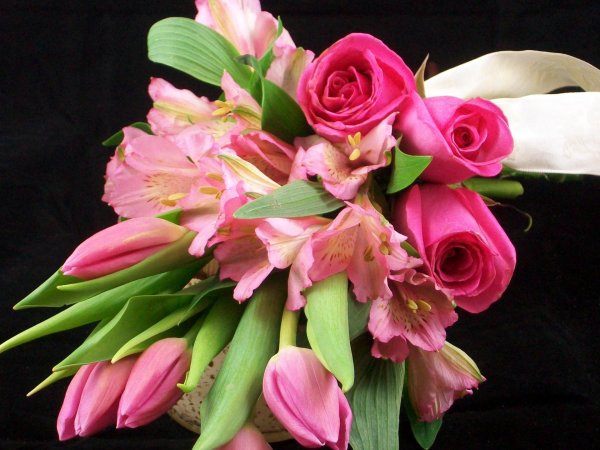 розы тюльпаны