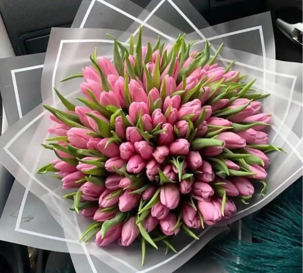 голландские тюльпаны buket