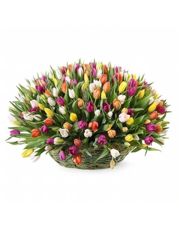корзина из тюльпанов