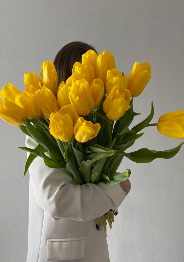 жëлтые тюльпаны