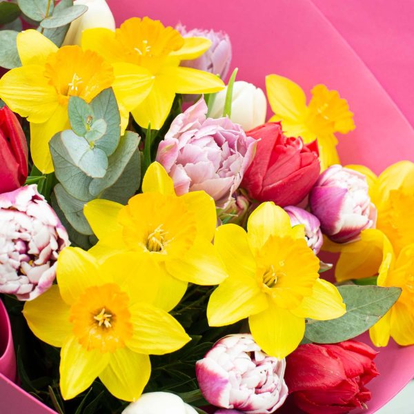 тюльпаны нарциссы