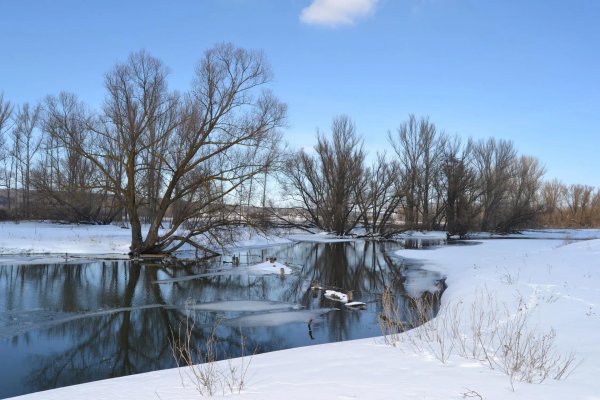 природа ранней весной